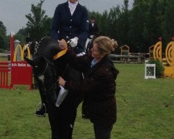 stallion Black Champion (German Riding Pony, 2008, from Black Boy)