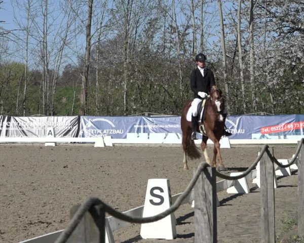 Reitturnier Scharnebeck 2022