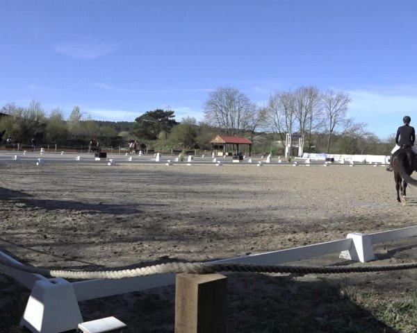 Reitturnier Scharnebeck 2022