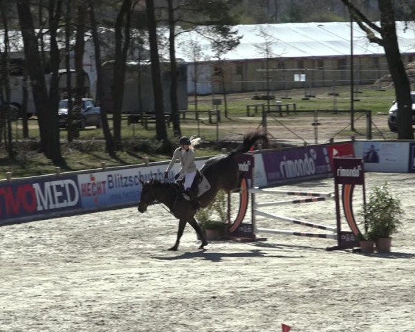 FEI Reitturnier Westergellersen (GER) 2022