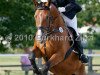 dressage horse Enrico 283 (Westphalian, 2003, from Ehrentusch)