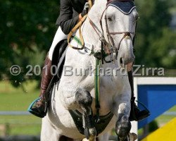 Springpferd L'heureux de Semilly (Westfale, 2001, von Le Tot de Semilly)