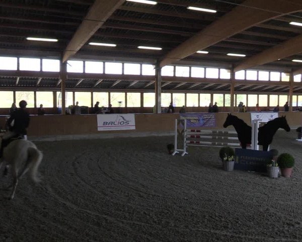 7. Fleesensee Classic´s 2022 - Finale