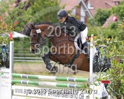 jumper Hermine (Hanoverian, 2000, from Heraldik xx)