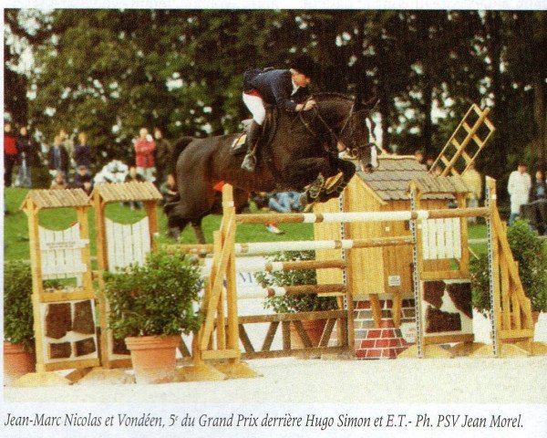 stallion Vondeen (Selle Français, 1987, from Le Condeen)