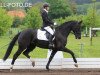 dressage horse Danity HM (Westphalian, 2009, from Damon Hill)