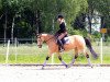 broodmare Mac Cila (German Riding Pony, 2004, from FS Champion de Luxe)