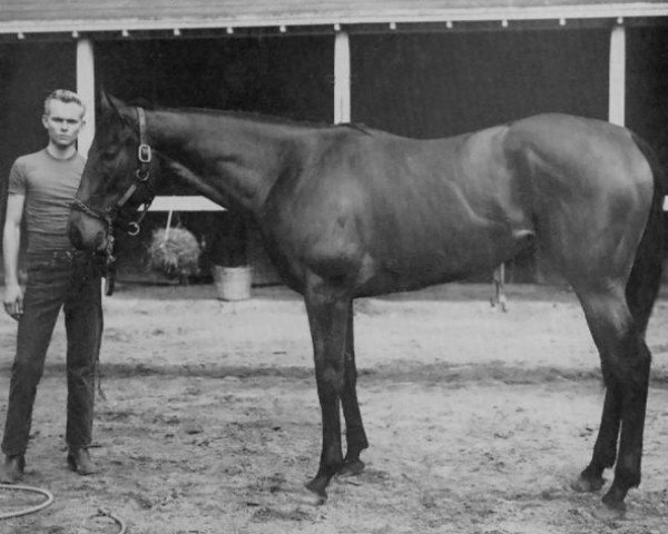 broodmare Lady Be Good xx (Thoroughbred, 1956, from Better Self xx)
