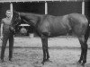 broodmare Lady Be Good xx (Thoroughbred, 1956, from Better Self xx)