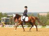 broodmare Antigone (German Riding Pony, 1998, from Golosny (RU))