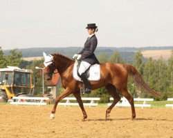 broodmare Antigone (German Riding Pony, 1998, from Golosny (RU))