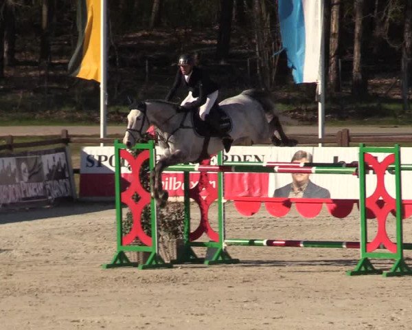 FEI Reitturnier Westergellersen (GER) 2022