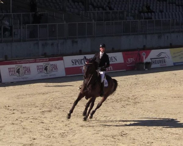 FEI Reitturnier Westergellersen (GER) 2022