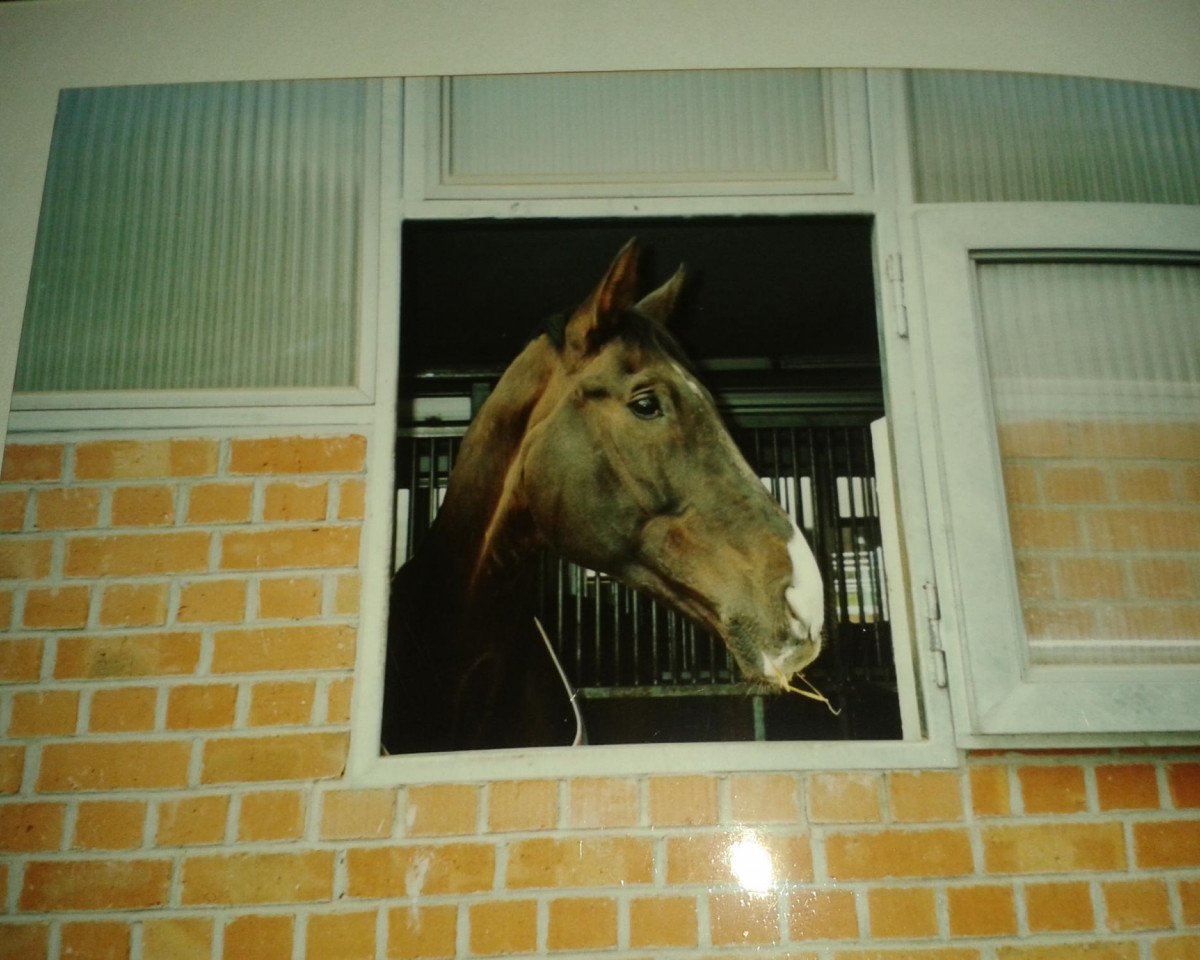 broodmare Eskapade (Rhinelander, 1990, from Entree)