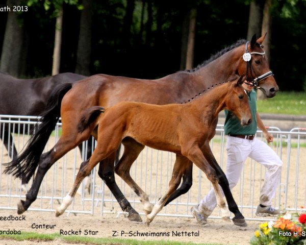 dressage horse Flambeaux 7 (Rhinelander, 2013, from Feedback 16)