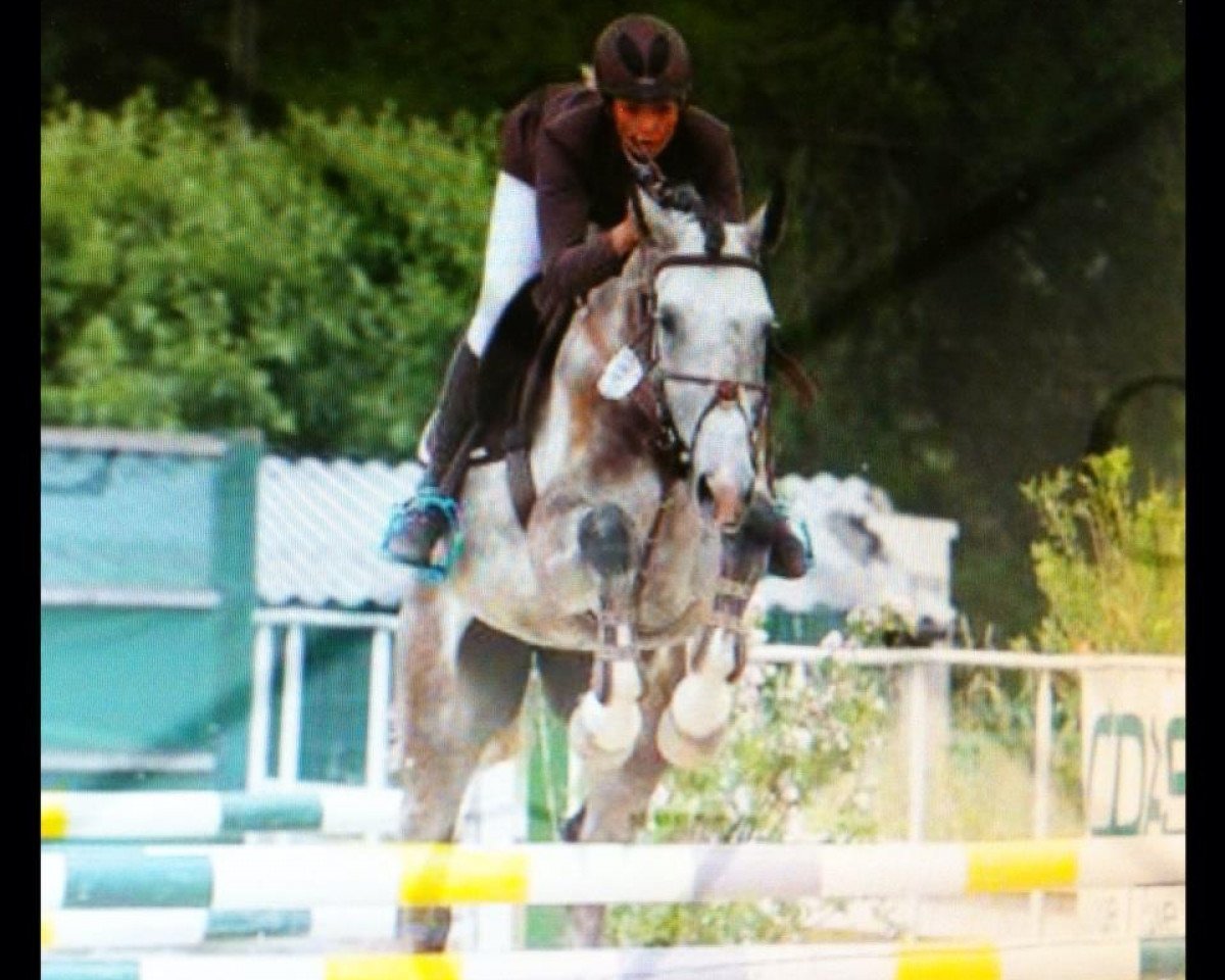 broodmare Sinfonie (Westphalian, 2009, from Captain Fire)