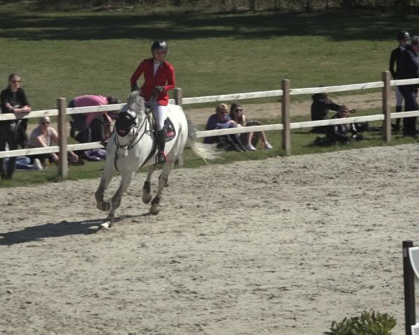 FEI Reitturnier Westergellersen (GER) 2022