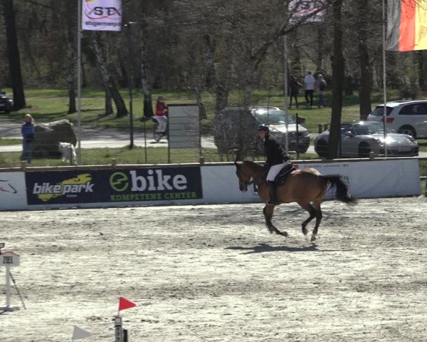 FEI Reitturnier Westergellersen (GER) 2022