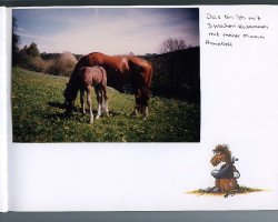 broodmare Annebell (unknown, 1984, from Sextant 1326)