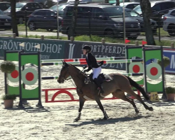 FEI Reitturnier Westergellersen (GER) 2022