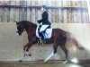 dressage horse Donni Darco (German Riding Pony, 2009, from Dance Star AT)