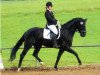 dressage horse Doni (Rhinelander, 2008, from Don Frederico)