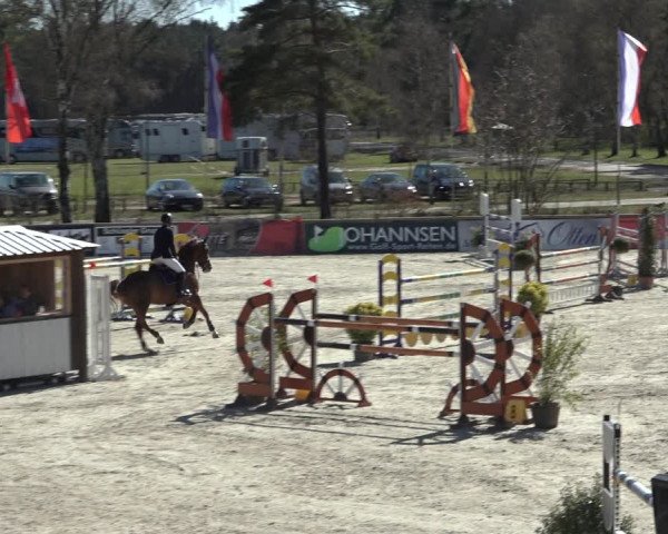 FEI Reitturnier Westergellersen (GER) 2022