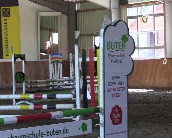 Reitturnier Dohren 2022