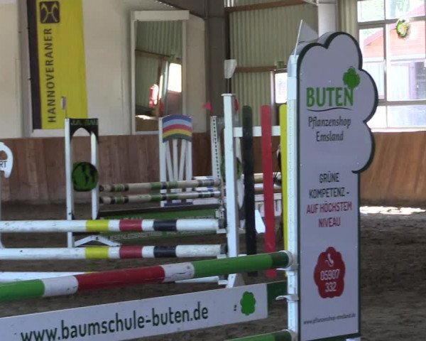 Reitturnier Dohren 2022