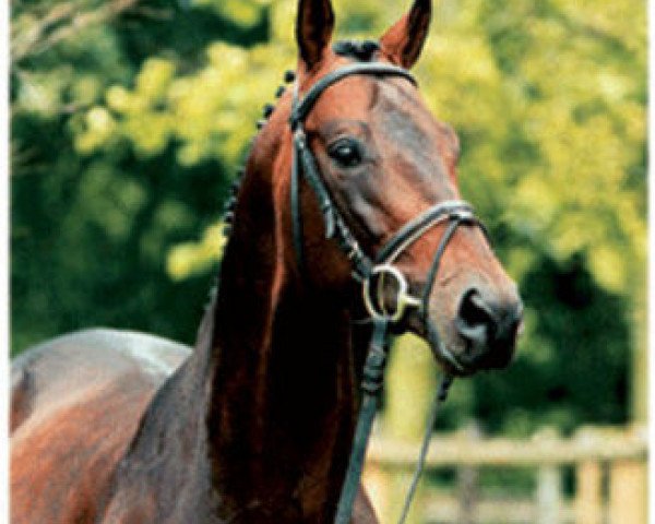 stallion Just Spectacular xx (Thoroughbred, 1992, from Mytens xx)