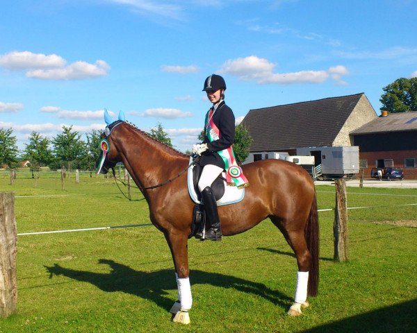 dressage horse Claire de la Lune (Westphalian, 2004, from Charming 8)