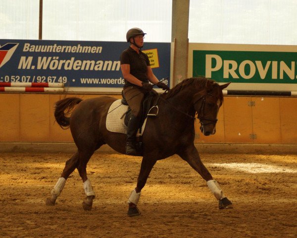 dressage horse Fynn Boy (Westphalian, 2001, from Florestan I)