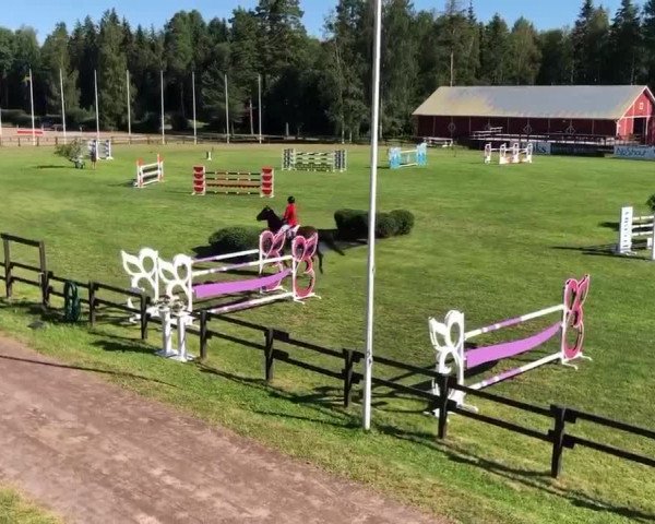 Video of Destany 9