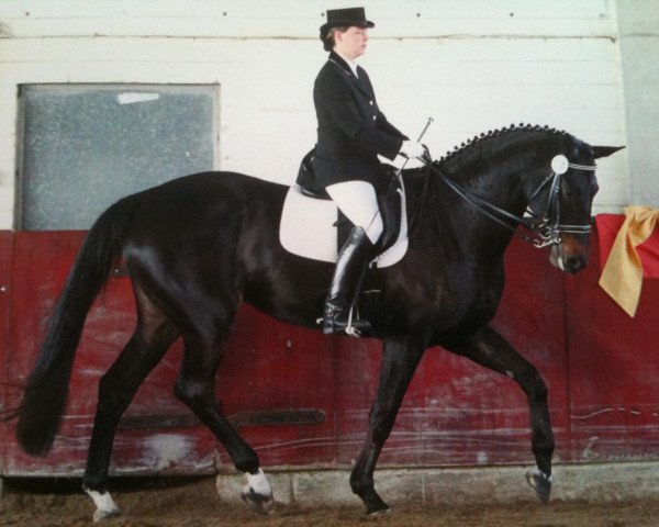 dressage horse Lardana Lay (Oldenburg, 2005, from Laurentio)