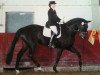 dressage horse Lardana Lay (Oldenburg, 2005, from Laurentio)