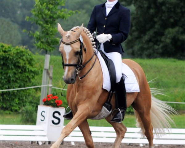 dressage horse Gleisberg Daiquiry (German Riding Pony, 1992, from Derby)