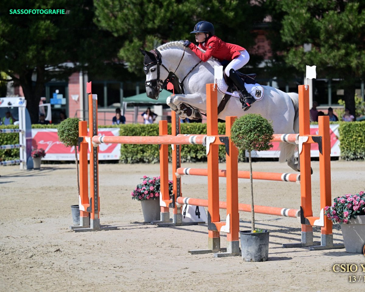stallion Del Piero 25 (German Riding Pony, 2008, from Dexter Leam Pondi)