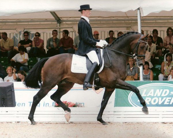 Dressurpferd Citango 2 (Koninklijk Warmbloed Paardenstamboek Nederland (KWPN), 2002, von Contango)