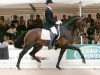 dressage horse Citango 2 (KWPN (Royal Dutch Sporthorse), 2002, from Contango)