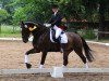 dressage horse Der Max (Westphalian, 2007, from Don Kennedy)