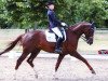 dressage horse Donington (Westphalian, 2005, from Damon Hill)