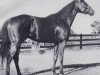 stallion Grenfall xx (Thoroughbred, 1968, from Graustark xx)