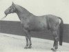 stallion Seefischer (Hanoverian, 1962, from Sesam I)