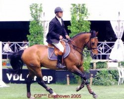 stallion Quick Lauro Z (Zangersheide riding horse, 1994, from Quick Star)