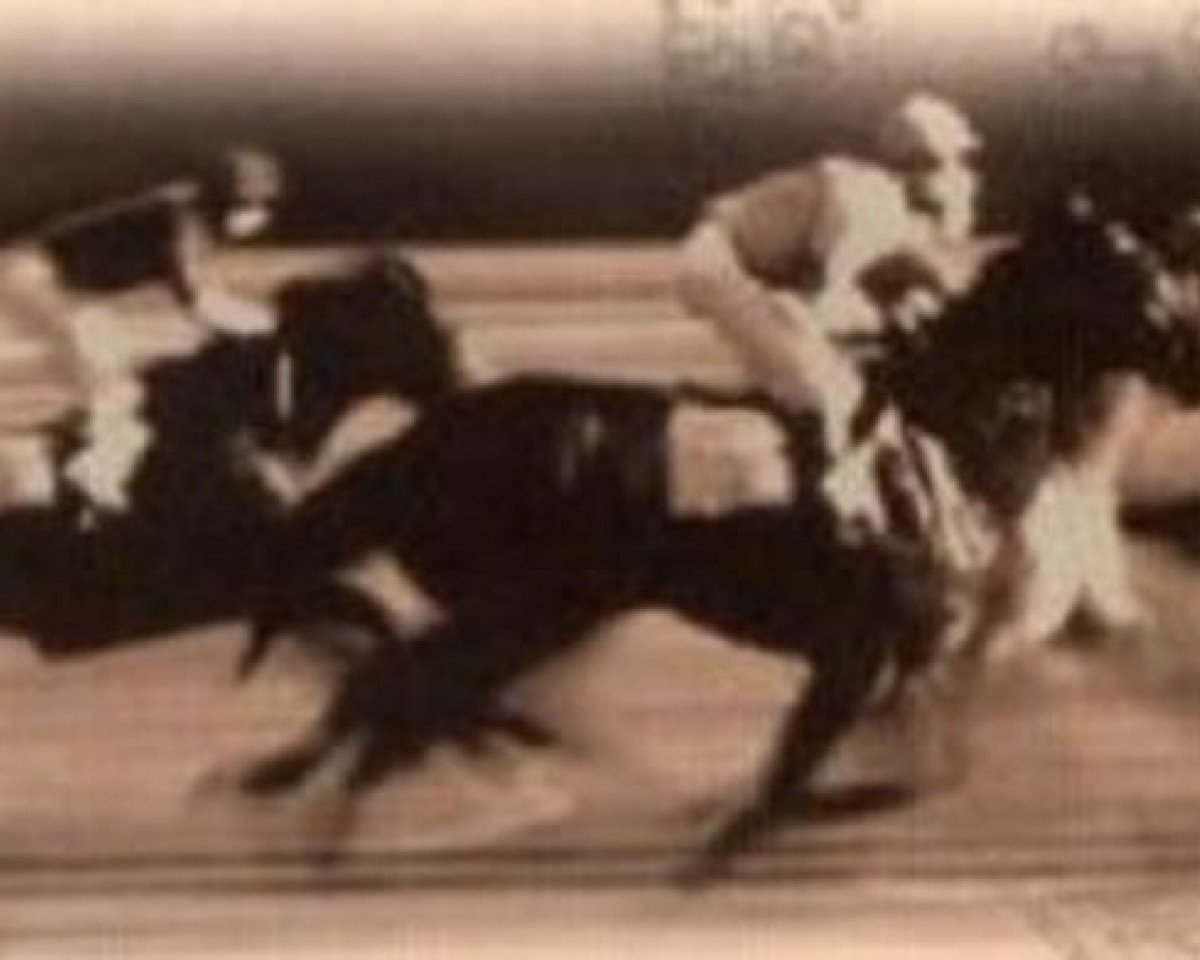 stallion Loch Lomond xx (Thoroughbred, 1916, from Lomond xx)
