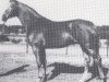 stallion Leubus (Hanoverian, 1976, from Lombard)