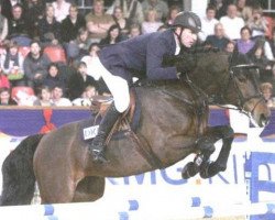 jumper Little Liberty 5 (Oldenburg, 2000, from Liberty Son)