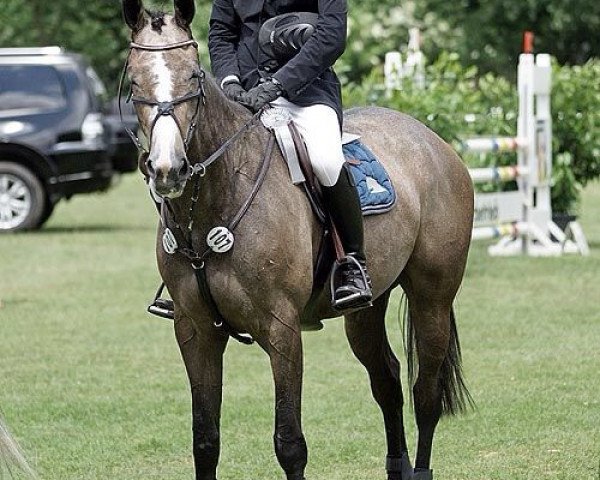 broodmare Elamine (KWPN (Royal Dutch Sporthorse), 2009, from Zirocco Blue)