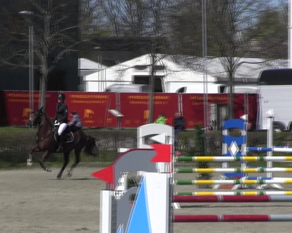 Reitturnier Neustadt/Dosse 2022
