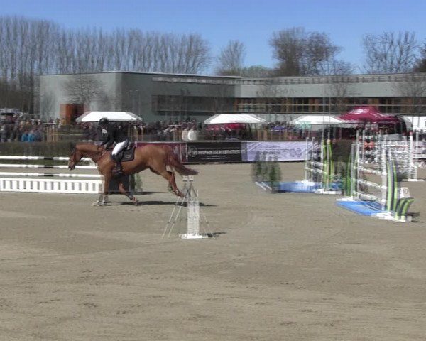 Reitturnier Neustadt/Dosse 2022